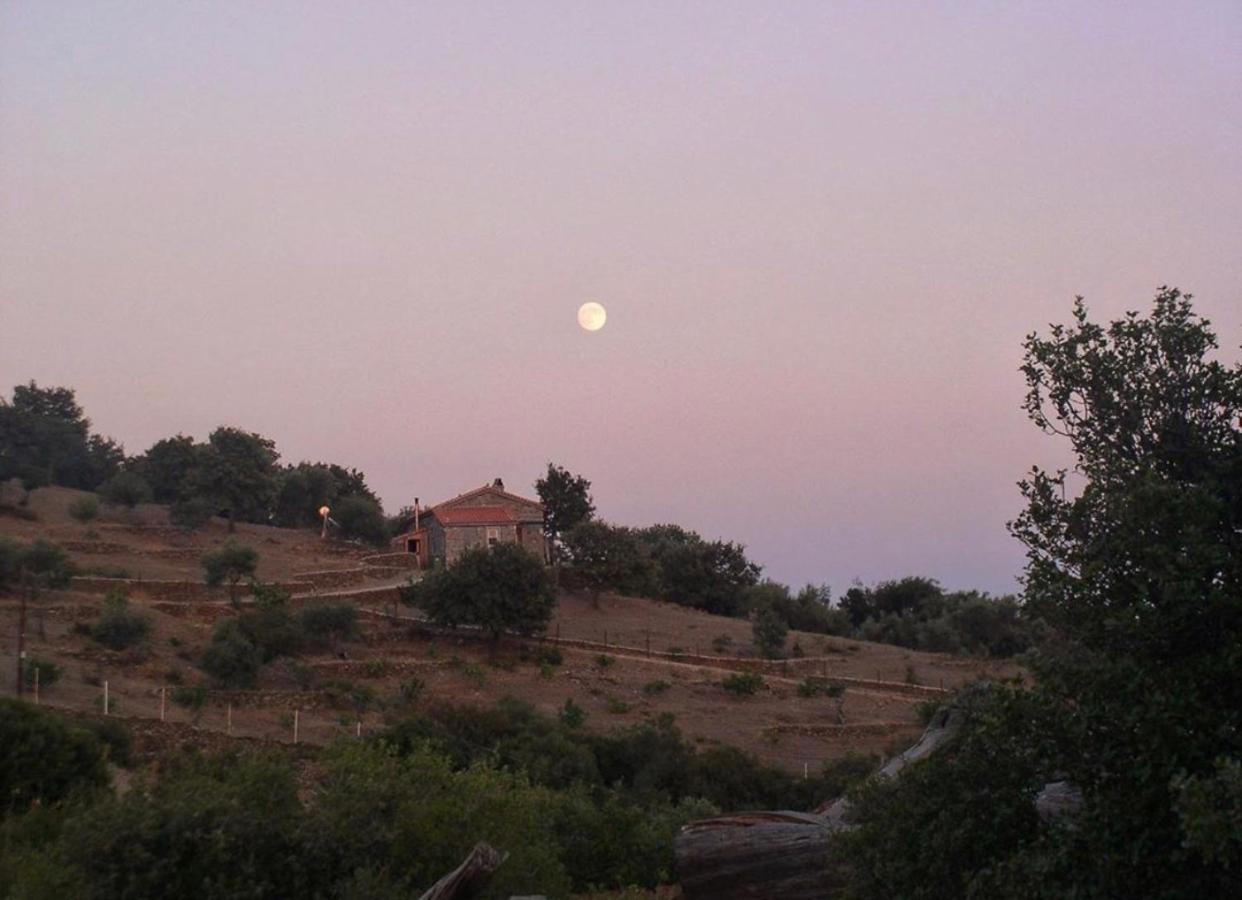 Toumba Eco Farm Guesthouses Plomari Bagian luar foto