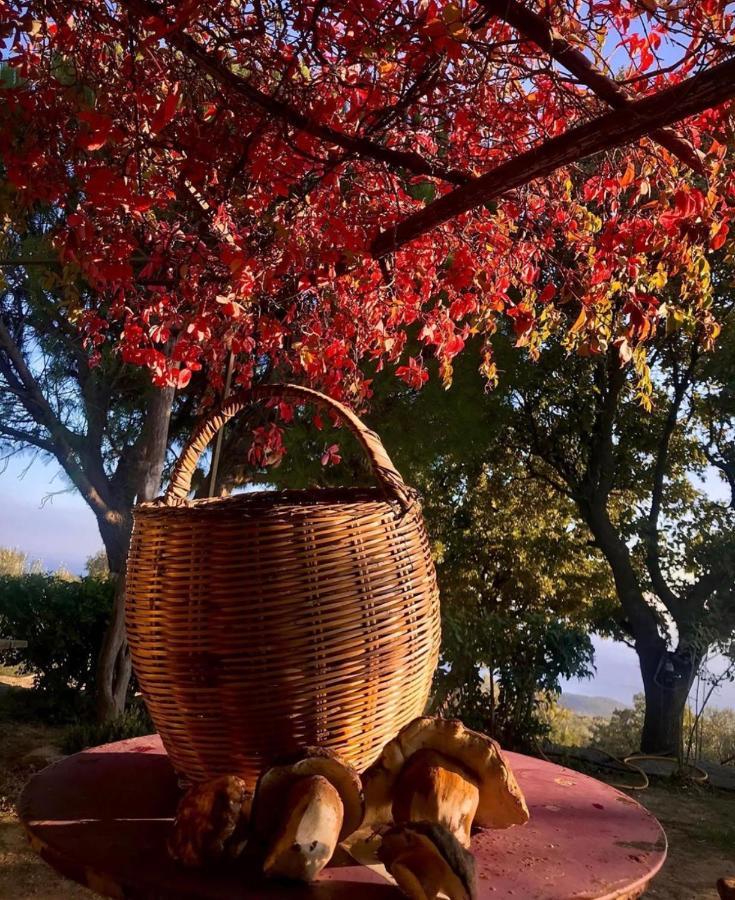 Toumba Eco Farm Guesthouses Plomari Bagian luar foto