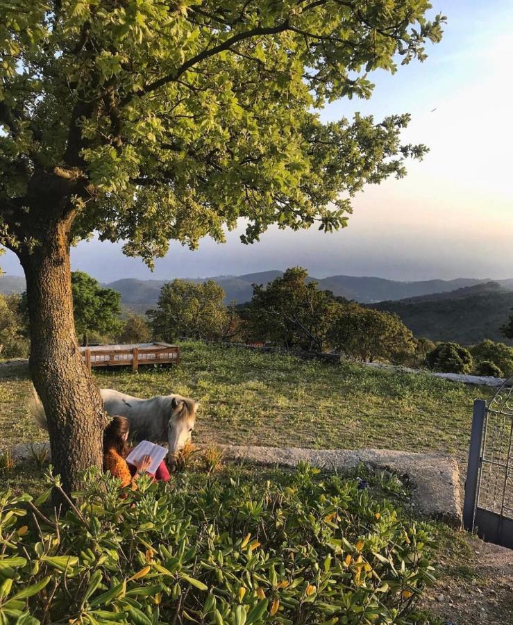 Toumba Eco Farm Guesthouses Plomari Bagian luar foto