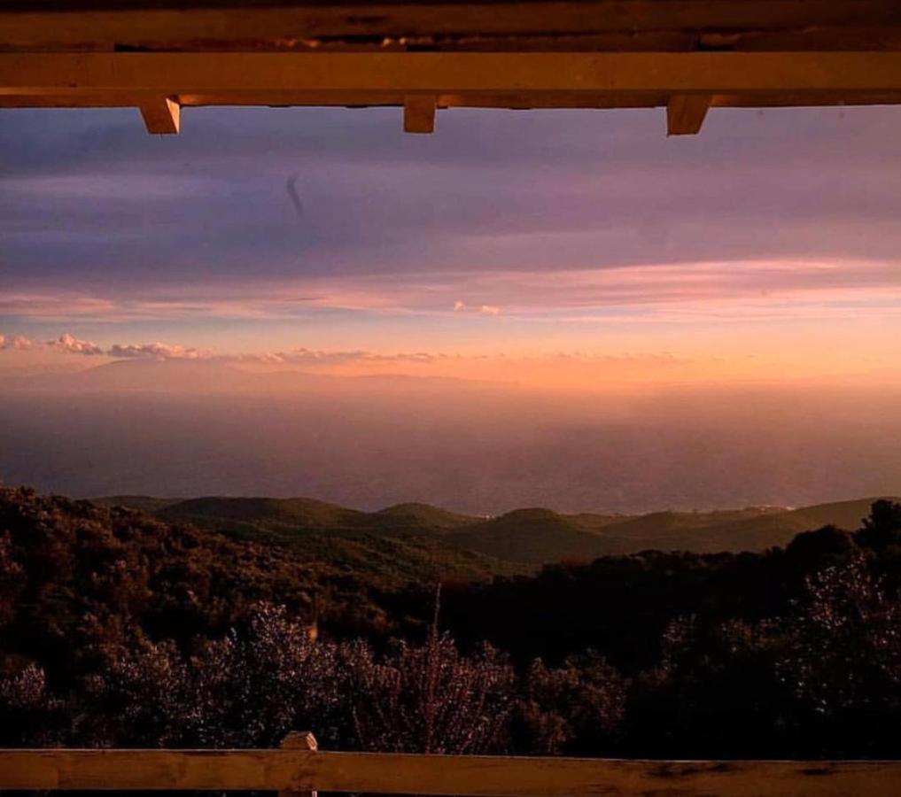 Toumba Eco Farm Guesthouses Plomari Bagian luar foto