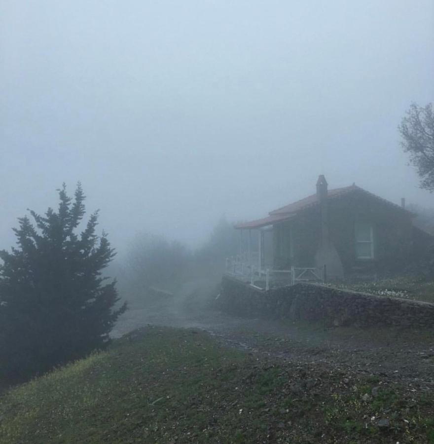 Toumba Eco Farm Guesthouses Plomari Bagian luar foto