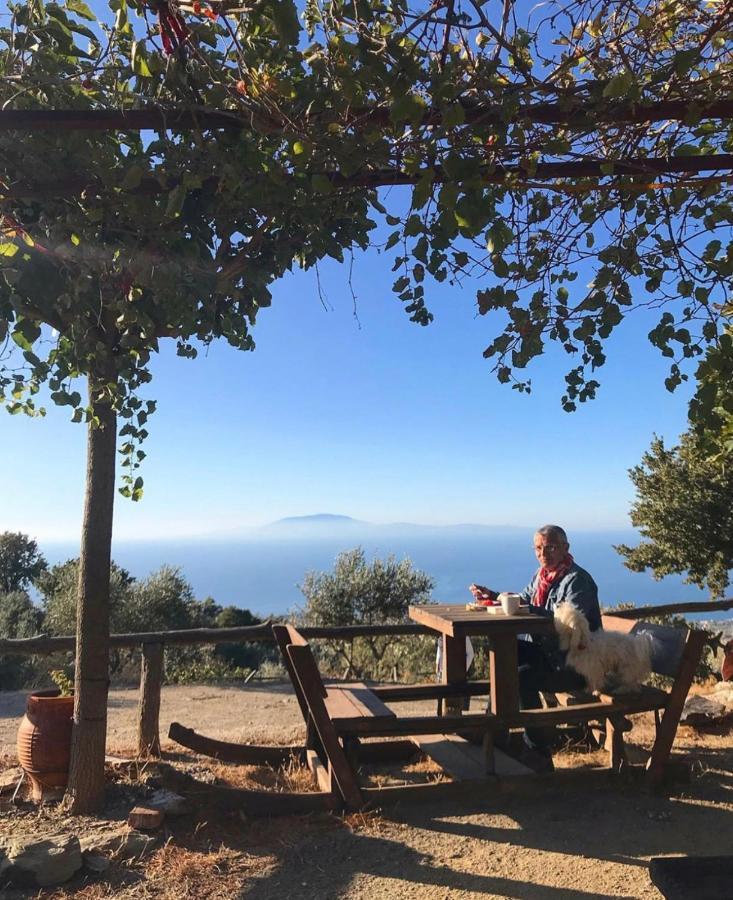 Toumba Eco Farm Guesthouses Plomari Bagian luar foto
