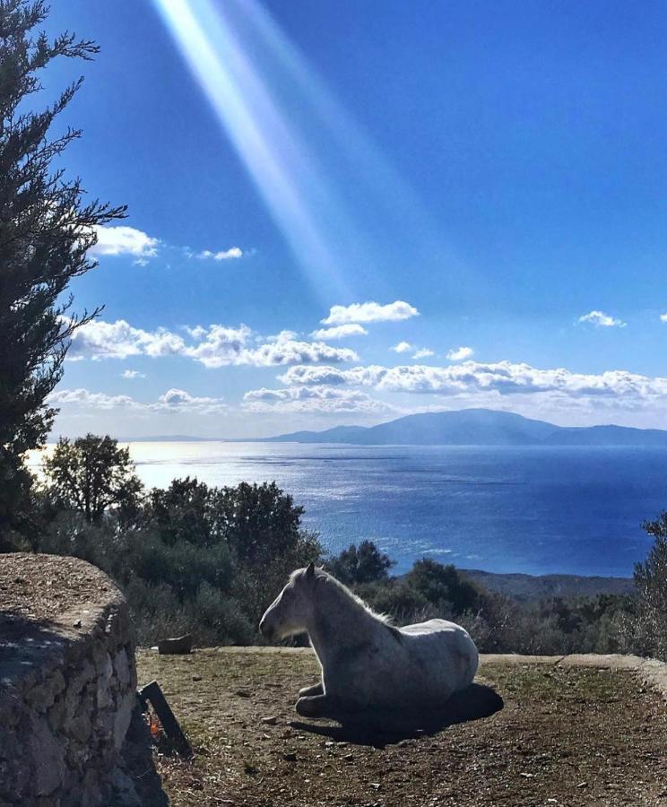 Toumba Eco Farm Guesthouses Plomari Bagian luar foto