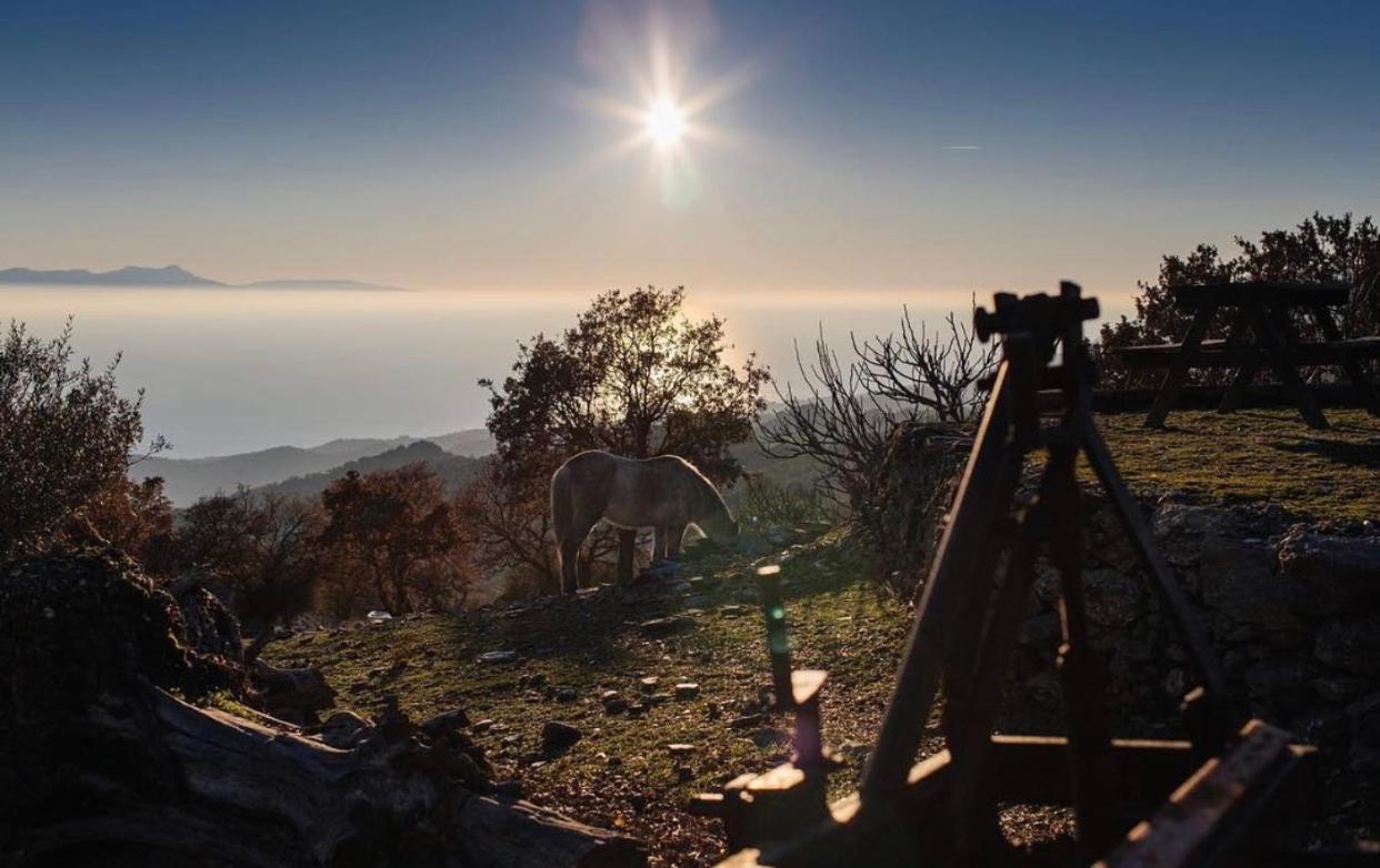 Toumba Eco Farm Guesthouses Plomari Bagian luar foto