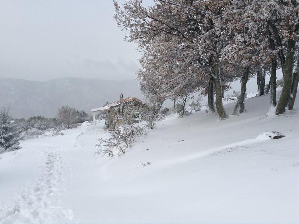 Toumba Eco Farm Guesthouses Plomari Bagian luar foto