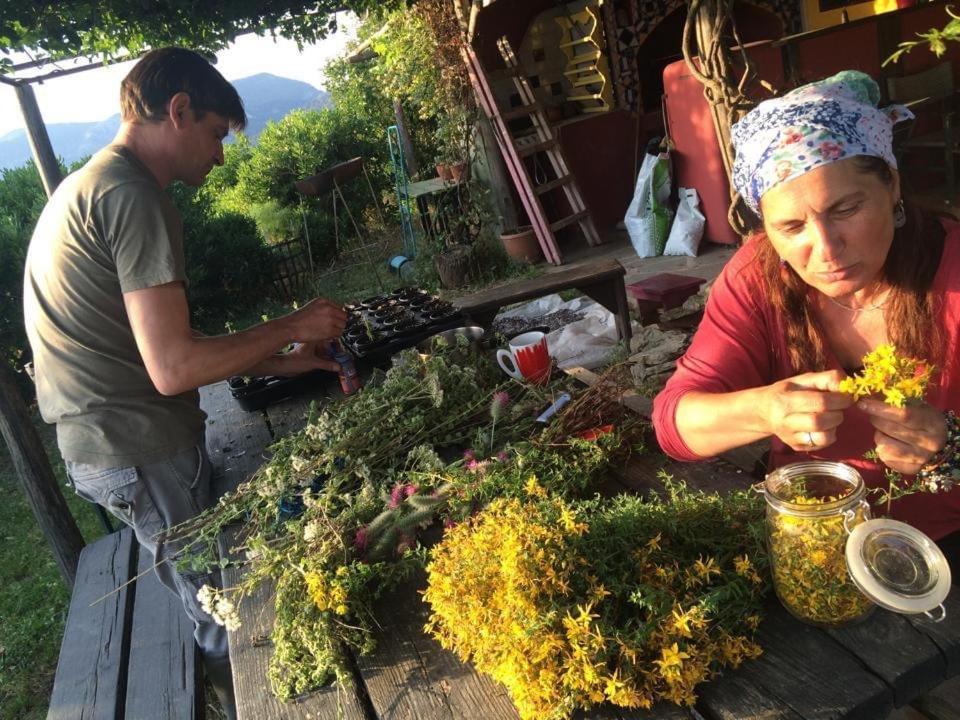 Toumba Eco Farm Guesthouses Plomari Bagian luar foto