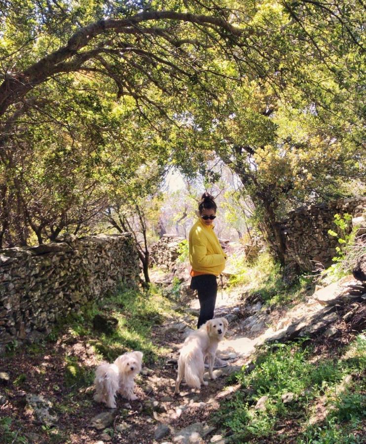 Toumba Eco Farm Guesthouses Plomari Bagian luar foto