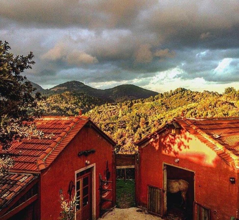 Toumba Eco Farm Guesthouses Plomari Bagian luar foto