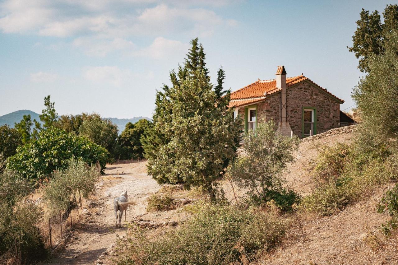 Toumba Eco Farm Guesthouses Plomari Bagian luar foto