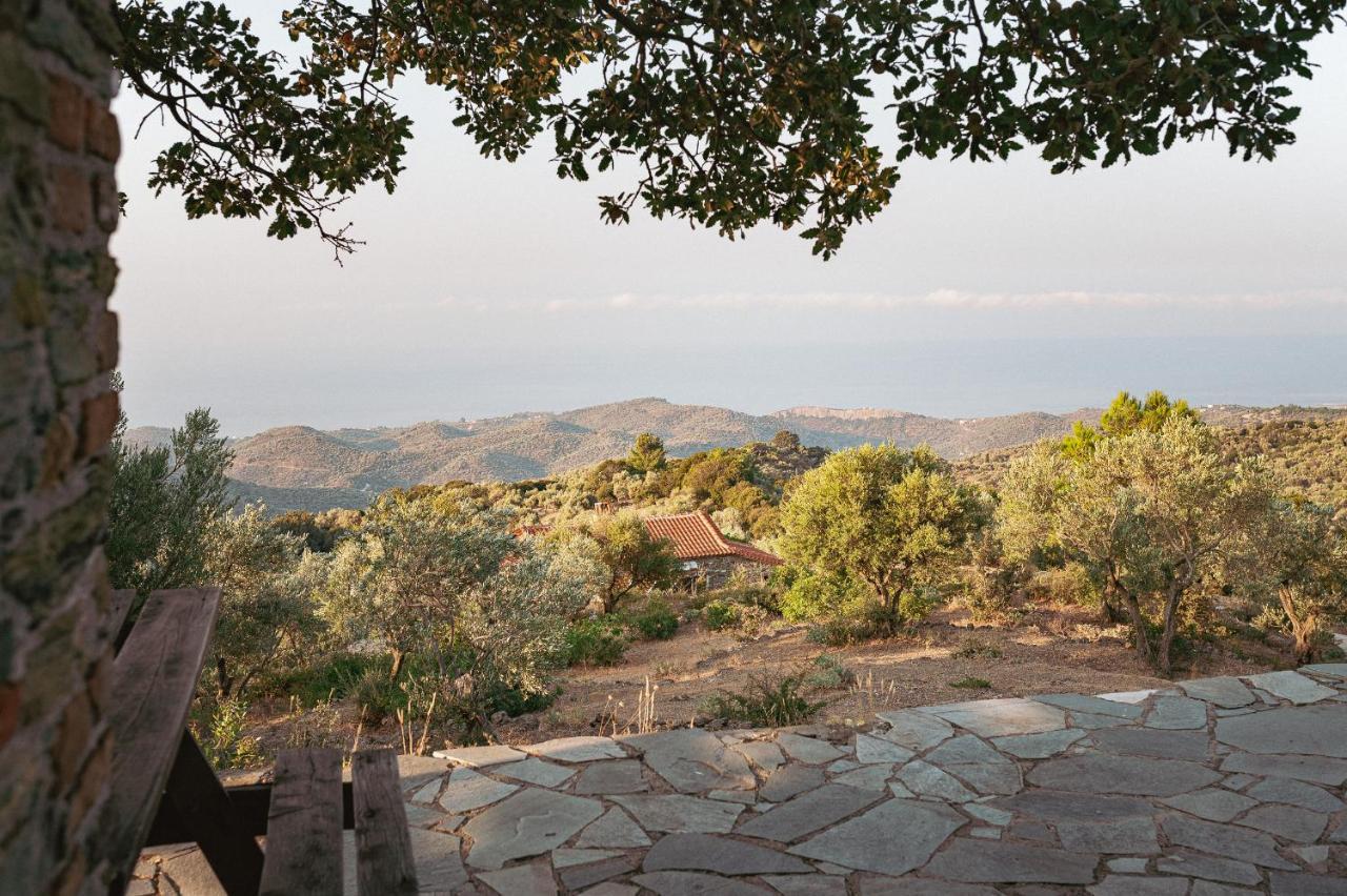 Toumba Eco Farm Guesthouses Plomari Bagian luar foto