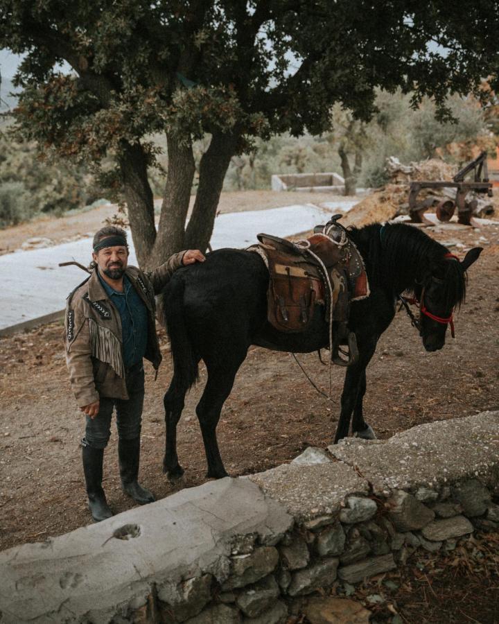 Toumba Eco Farm Guesthouses Plomari Bagian luar foto