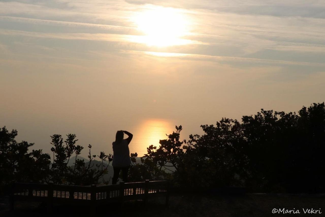 Toumba Eco Farm Guesthouses Plomari Bagian luar foto
